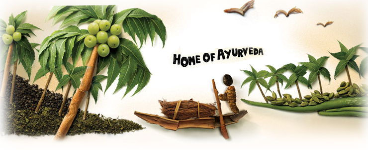 Aditi Ayurved Nursing Institute